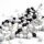 Schokomix Black & White 80g