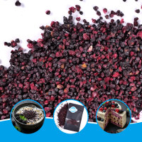 Gefriergetrocknete Brombeeren